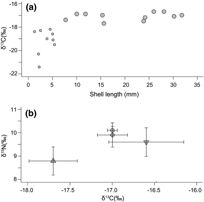 Autochthonous Production Contributes To The Diet Of Wood Boring Invertebrates In Temperate Shallow Water Springerlink