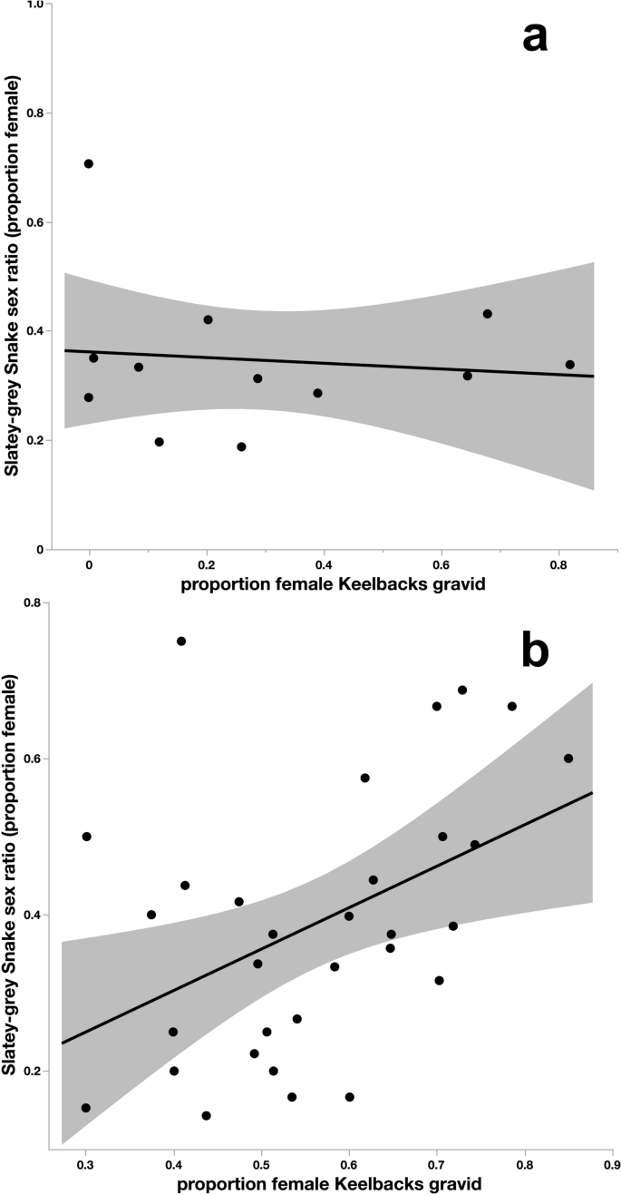 Adaptive divergence in diets between the sexes in a tropical snake ...