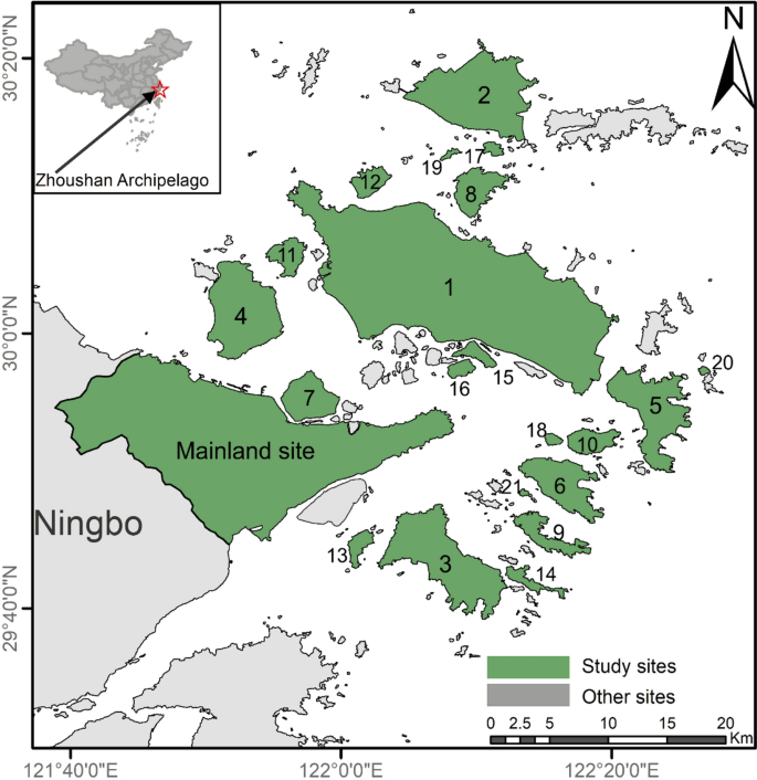 Unraveling the determinants of body size shifts in a rodent species in ...