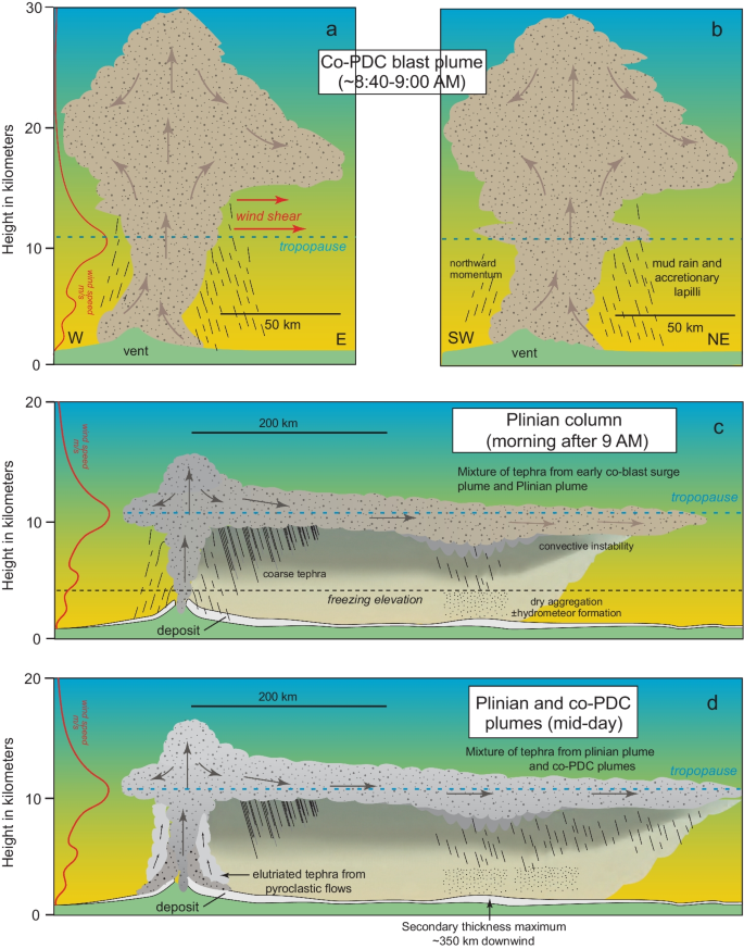 Rapid heat discharge during deep-sea eruptions generates megaplumes and  disperses tephra