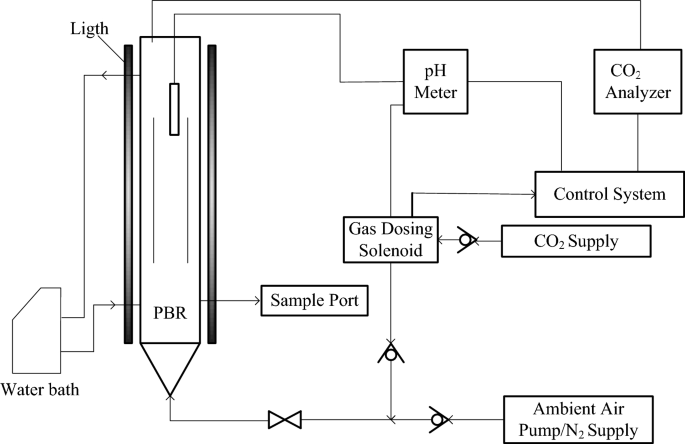 Enhancing CO 2 utilization by a physical absorption-based technique in  microalgae culture | SpringerLink