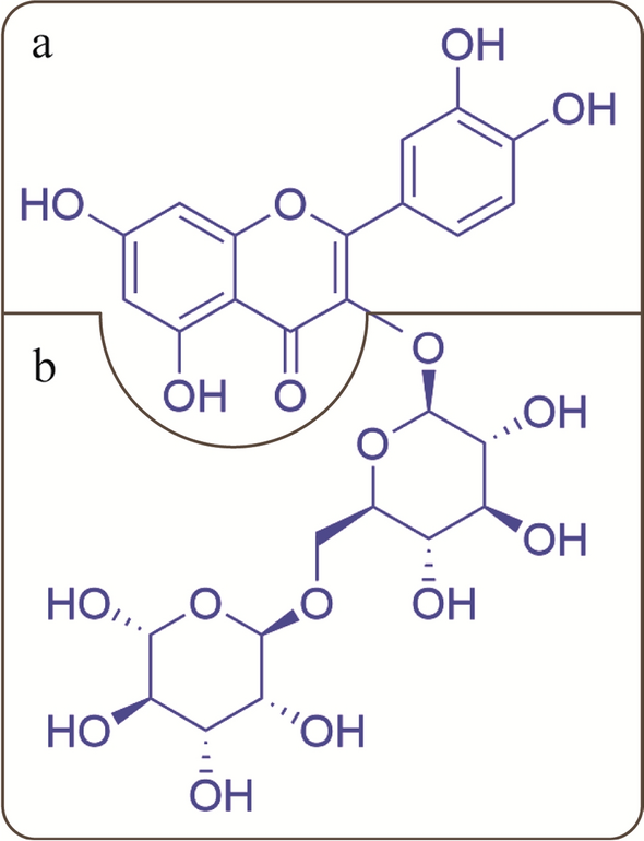 Current strategies for rutin nano-formulation; a promising bioactive ...