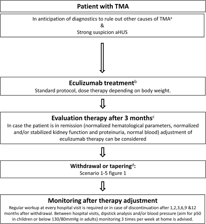 Frontiers  Case report: Short-term eculizumab use in atypical HUS