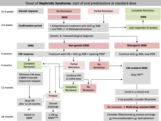 IPNA clinical practice recommendations for the diagnosis and management of  children with steroid-resistant nephrotic syndrome | SpringerLink