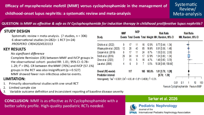 Efficacy of mycophenolate mofetil versus cyclophosphamide in the ...