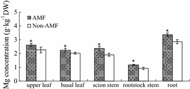 Transcriptome responses of grafted Citrus sinensis plants to inoculation  with the arbuscular mycorrhizal fungus Glomus versiforme | SpringerLink