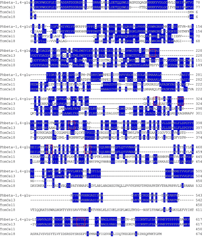 Endo 1 4 B Glucanase Gene Involved Into The Rapid Elongation Of Phyllostachys Heterocycla Var Pubescens Springerlink Endo 1 4 B Glucanase Gene Involved Into The Rapid Elongation Of Phyllostachys Heterocycla Var Pubescens Springerlink