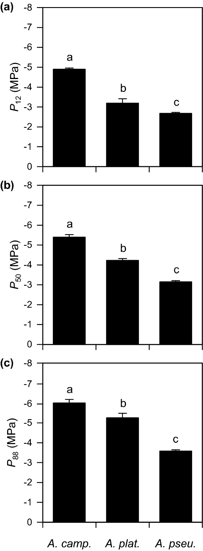 Xylem Hydraulic Safety And Efficiency In Relation To Leaf And Wood Traits In Three Temperate Acer Species Differing In Habitat Preferences Springerlink