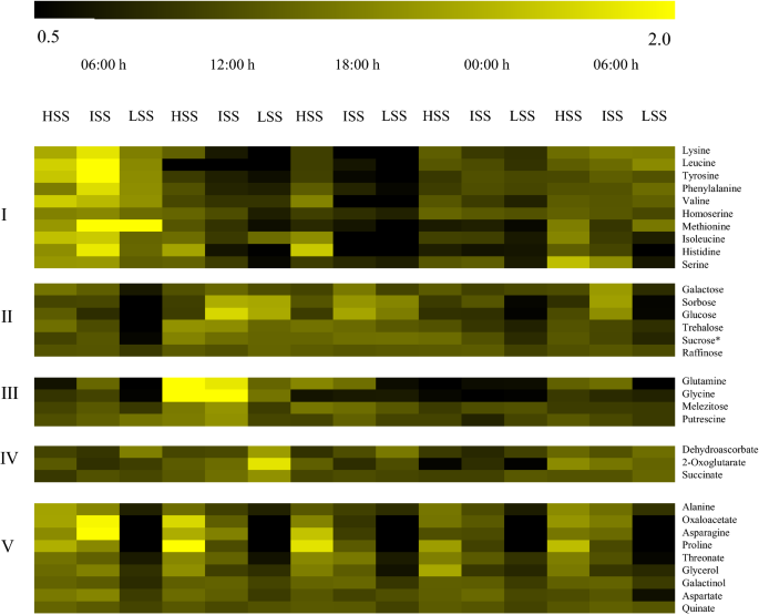 Starch Accumulation Does Not Lead To Feedback Photosynthetic Downregulation In Girdled Coffee Branches Under Varying Source To Sink Ratios Springerlink