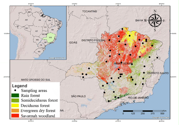 How Many Trees And Samples Are Adequate For Estimating Wood Specific Gravity Across Different Tropical Forests Springerlink How Many Trees And Samples Are Adequate For Estimating Wood Specific Gravity Across Different Tropical Forests Springerlink