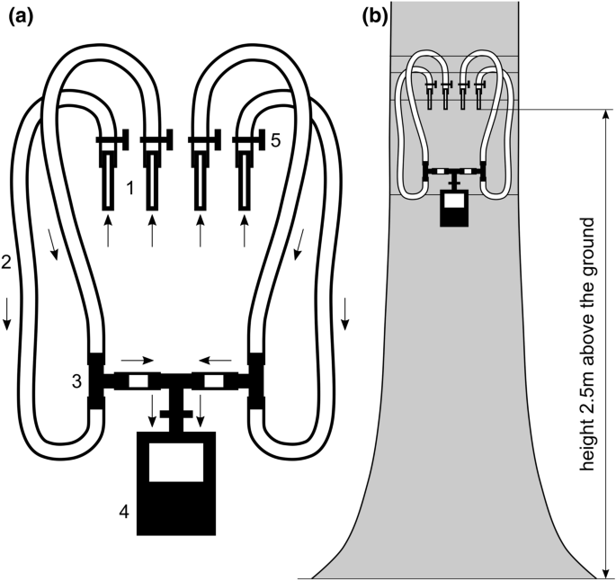 The Short Term Effect Of Sudden Gap Creation On Tree Temperature And Volatile Composition Profiles In A Norway Spruce Stand Springerlink The Short Term Effect Of Sudden Gap Creation On Tree Temperature And Volatile Composition Profiles In A Norway Spruce Stand Springerlink