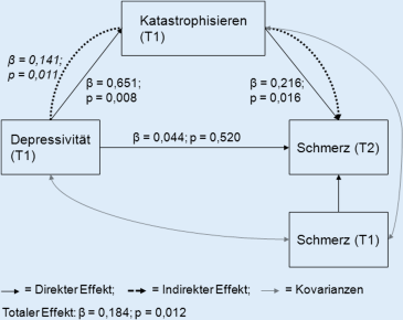 Der Einfluss Von Katastrophisieren Auf Den Effekt Von Depressivitat Auf Schmerz Und Korperliche Funktion Springerlink