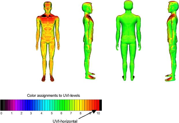 Visualization of UV exposure of the human body based on data from a scanning  UV-measuring system | SpringerLink