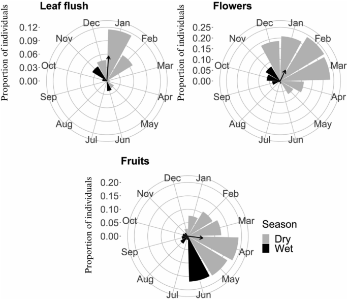 Phenological trends and associated climate drivers of a tree community