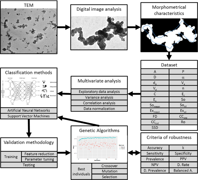 Use Of Support Vector Machines Neural Networks And Genetic Algorithms To Characterize Rubber Blends By Means Of The Classification Of The Carbon Black Particles Used As Reinforcing Agent Springerlink