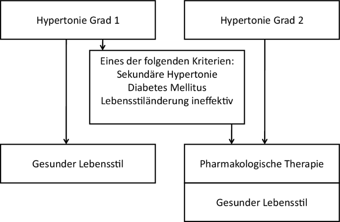 Österreichischer Blutdruckkonsens 2019 | SpringerLink