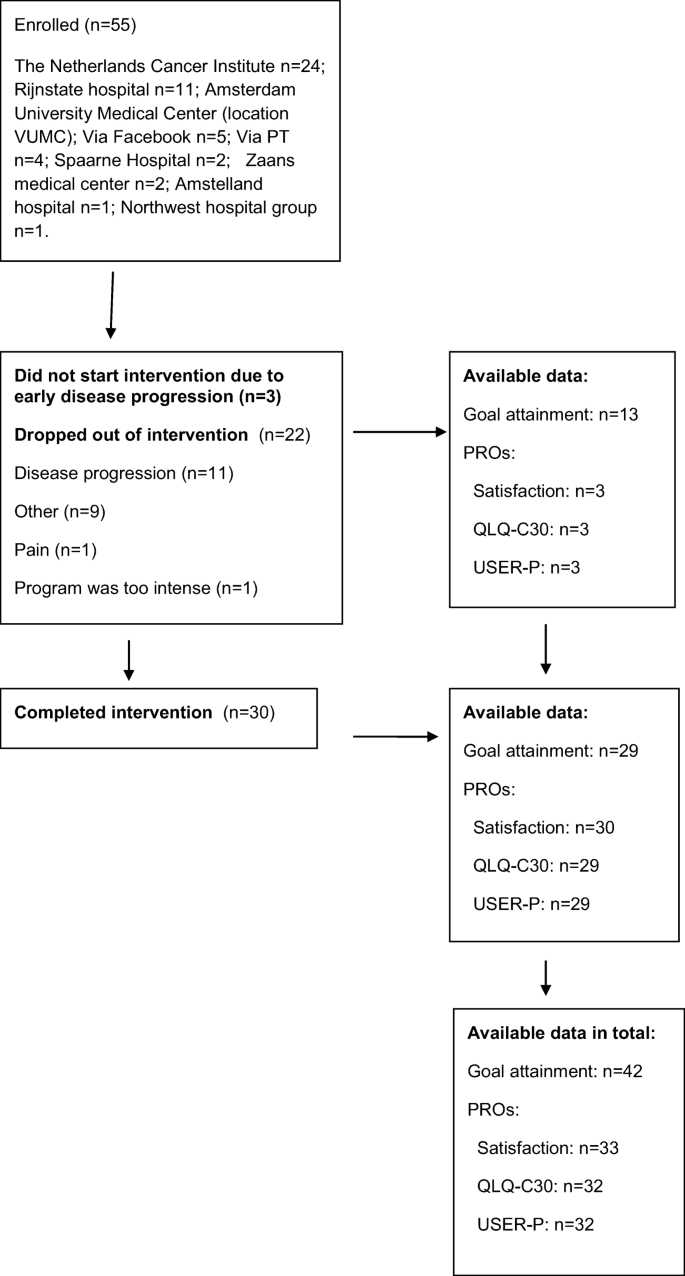 https://media.springernature.com/lw685/springer-static/image/art%3A10.1007%2Fs00520-020-05852-9/MediaObjects/520_2020_5852_Fig1_HTML.png