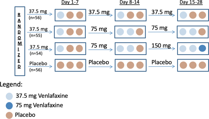 Does the placebo effect on hot flashes depend on the placebo dose 