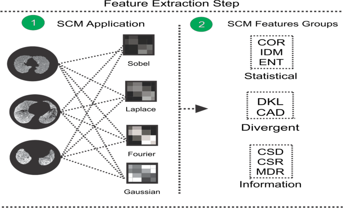 Automatic Classification Of Pulmonary Diseases Using A Structural Co Occurrence Matrix Springerlink
