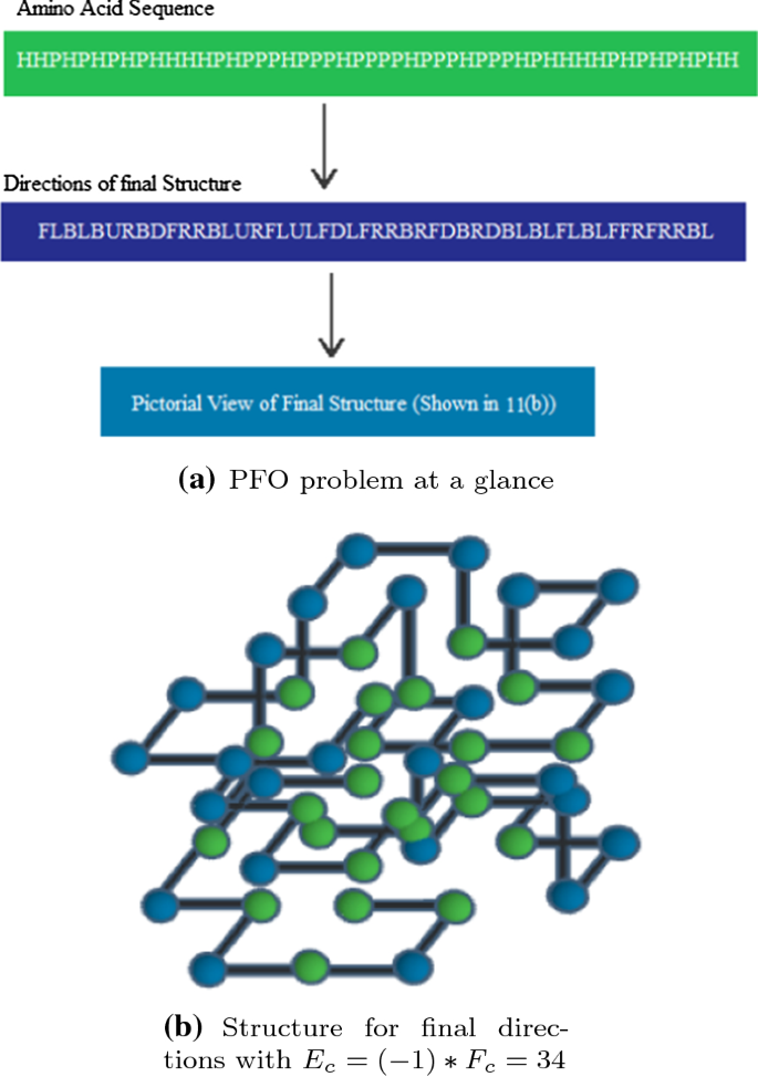 Optimization of protein folding using chemical reaction optimization in HP  cubic lattice model | SpringerLink