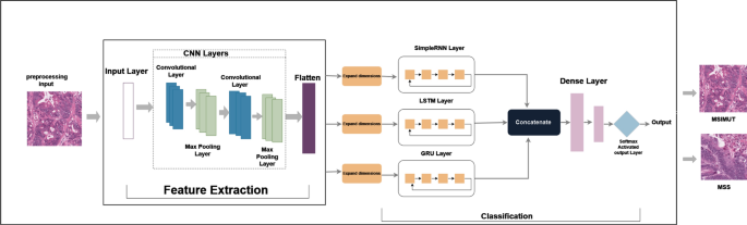 comprehensive literature review of research figure 13