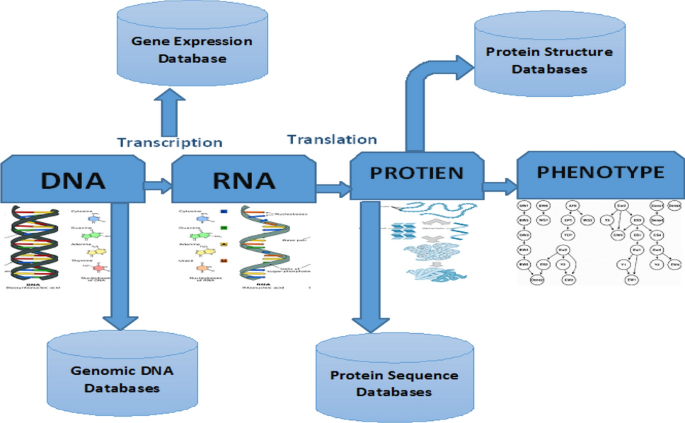 figure 15