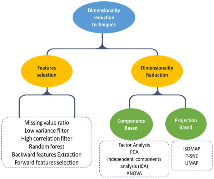 thesis medical imaging figure 12