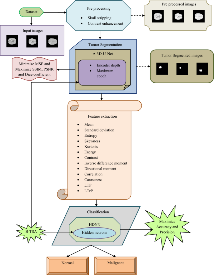 Leveraging Datature Nexus for Tumor and Anomaly Detection in Medical Scans  : Part I