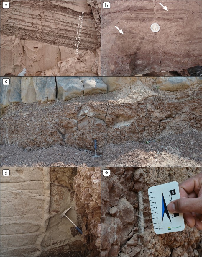 Onset of the Miocene Chaco foreland basin: depositional conditions,  provenance and paleogeographic implications of the Tranquitas Formation  (Argentina) | International Journal of Earth Sciences