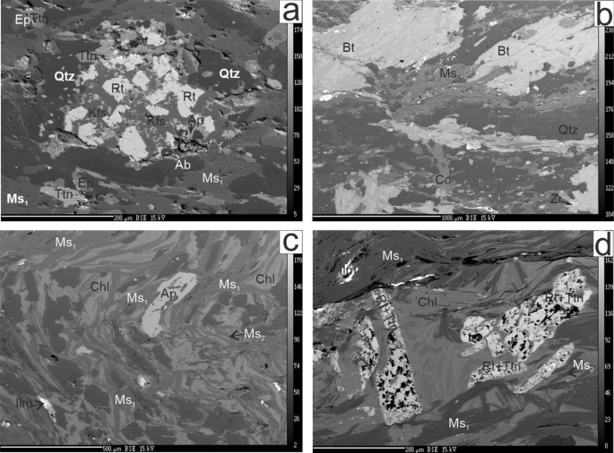 Collision with Gondwana or with Baltica? Ordovician magmatic arc volcanism  in the Marmarosh Massif (Eastern Carpathians, Ukraine) | SpringerLink