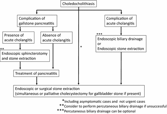 Evidence Based Clinical Practice Guidelines For Cholelithiasis 16 Springerlink