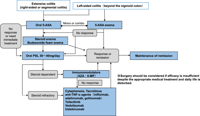 Evidence-based clinical practice guidelines for inflammatory bowel disease  2020 | SpringerLink