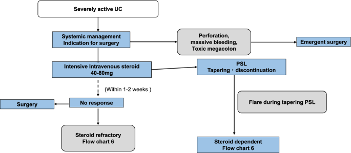 Evidence-based clinical practice guidelines for inflammatory bowel disease  2020 | SpringerLink