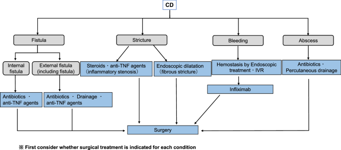 Evidence Based Clinical Practice Guidelines For Inflammatory Bowel Disease 2020 Springerlink