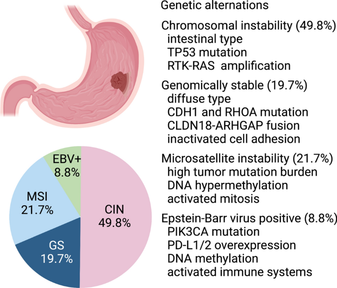Gastric cancer and genomics: review of literature | SpringerLink