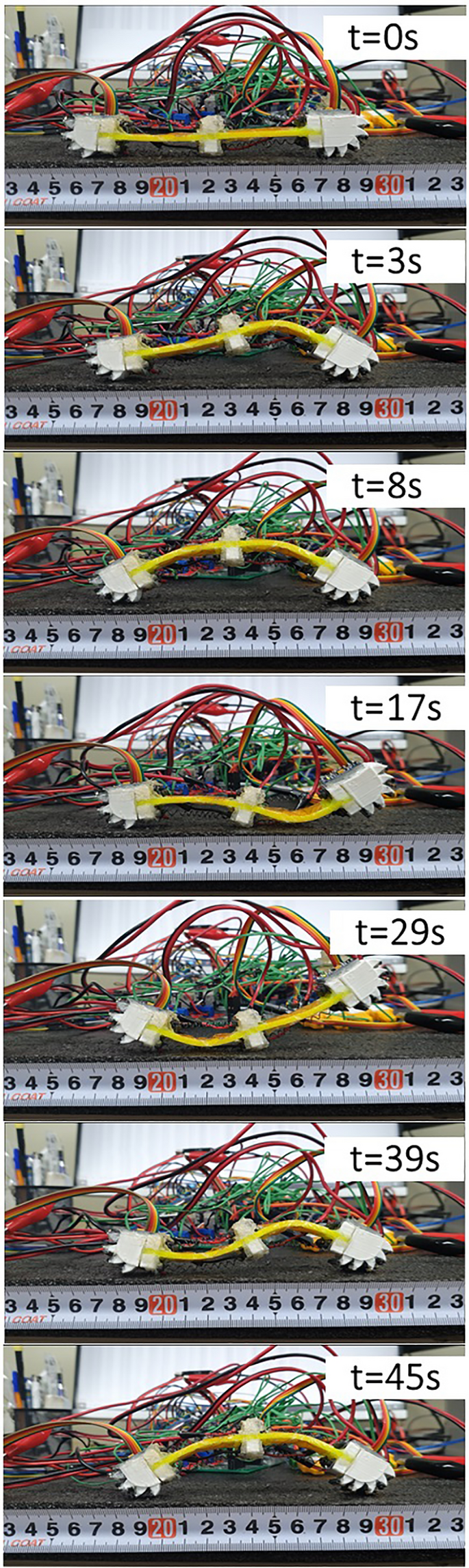 figure 19