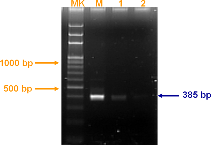 figure 15