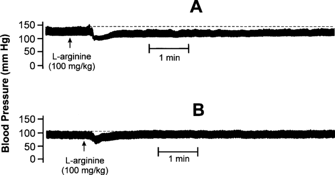 Antihypertensive Activity Of Secoisolariciresinol Diglucoside Sdg Isolated From Flaxseed Role Of Guanylate Cyclase Springerlink Antihypertensive Activity Of Secoisolariciresinol Diglucoside Sdg Isolated From Flaxseed Role Of Guanylate Cyclase Springerlink
