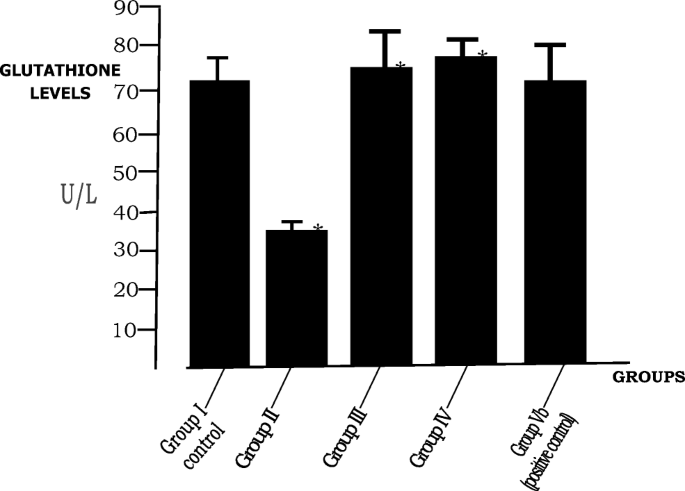 Chemoprotective effects of Allium cepa and Allium sativum on lead  acetate–mediated oxidative stress and dyslipidemia in Wistar rats |  Comparative Clinical Pathology