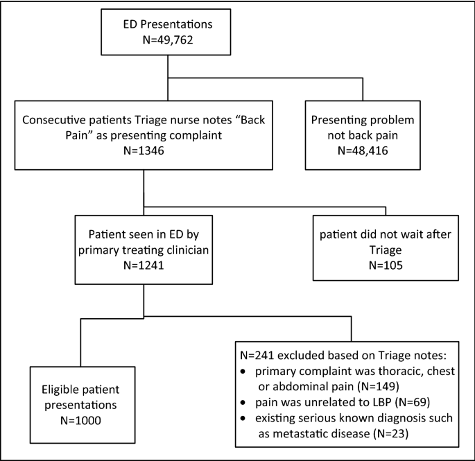 Instrument ondsindet Addiction Back pain “red flags”: which are most predictive of serious pathology in  the Emergency Department? | SpringerLink