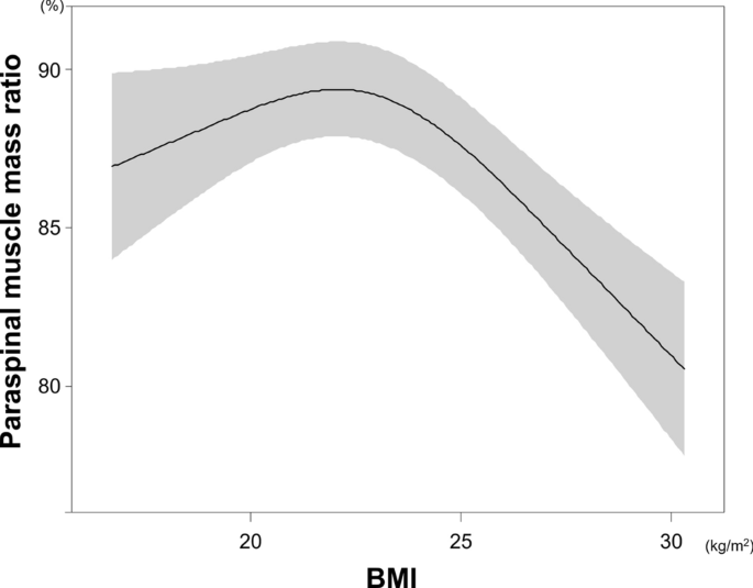 Association between trunk muscle mass and log of visual analog scale