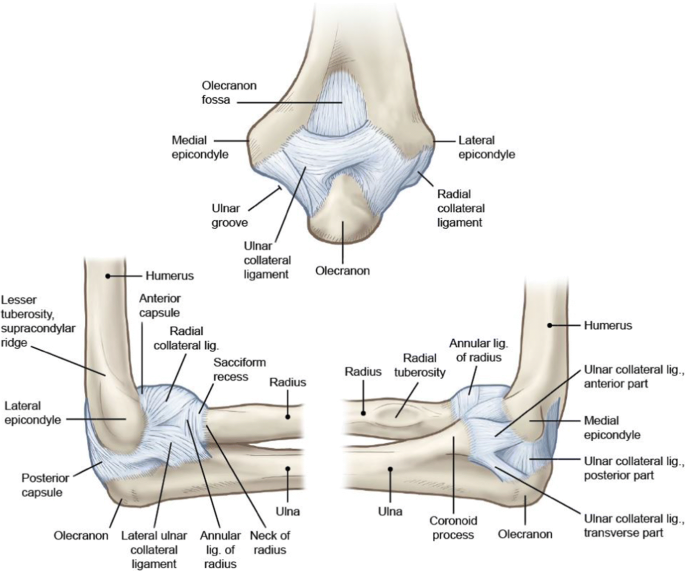 Fractures of the distal humerus, classification, diagnosis, treatment