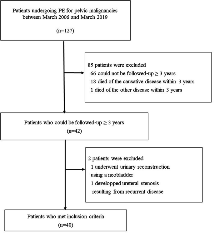 Pelvic Exenteration Associated With Future Renal Dysfunction Springerlink Pelvic Exenteration Associated With Future Renal Dysfunction Springerlink