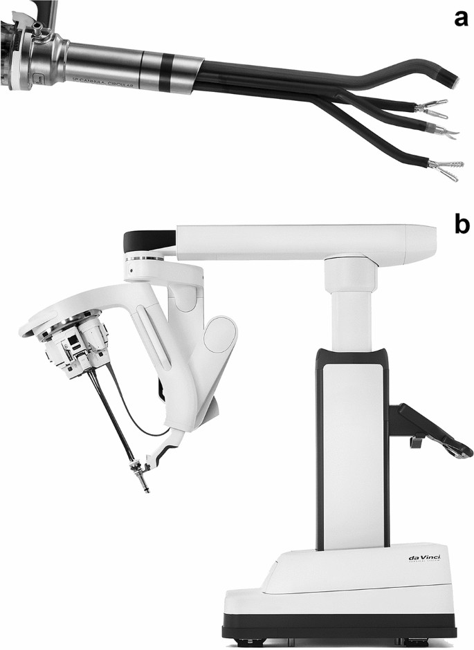 Feasibility Of Bilateral Internal Thoracic Artery Harvesting Using The Da Vinci Sp System Springerlink Feasibility Of Bilateral Internal Thoracic Artery Harvesting Using The Da Vinci Sp System Springerlink
