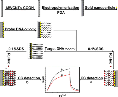 scheme 1