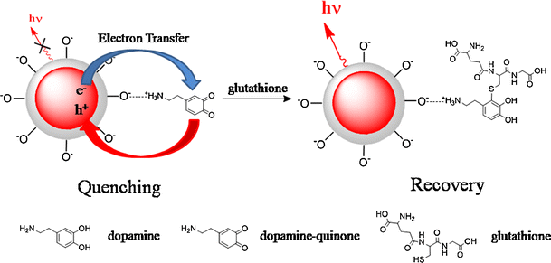 glutathione dopamine Buy Glutathione (Skin) Online at Best Prices in India main image 0