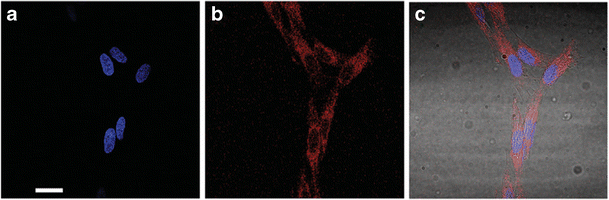 figure 20