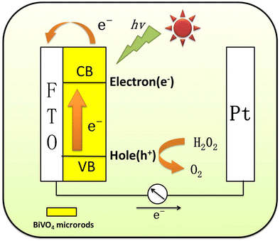 Photoelectrochemical Sensing Of Hydrogen Peroxide At Zero Working Potential Using A Fluorine Doped Tin Oxide Electrode Modified With Bivo 4 Microrods Springerlink