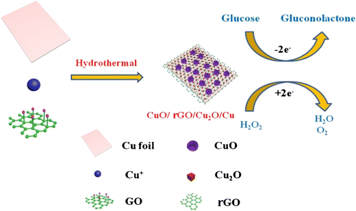Hydrothermal Deposition Of Cuo Rgo Cu 2 O Nanocomposite On Copper Foil For Sensitive Nonenzymatic Voltammetric Determination Of Glucose And Hydrogen Peroxide Springerlink
