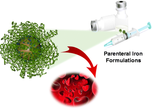 The Fate Of Iron Nanoparticles Used For Treatment Of Iron Deficiency In Blood Using Mass Spectrometry Based Strategies Springerlink
